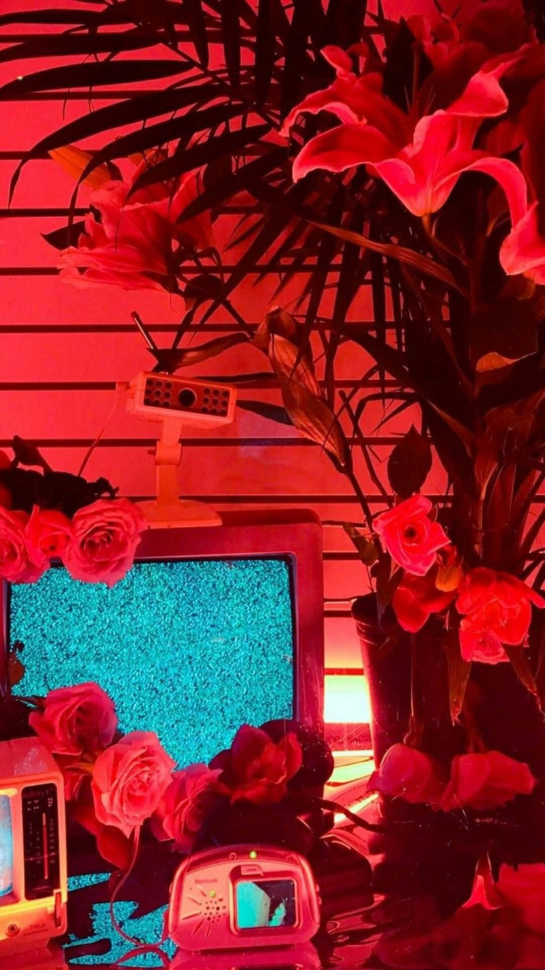 Decoration Aesthetic Red Picture