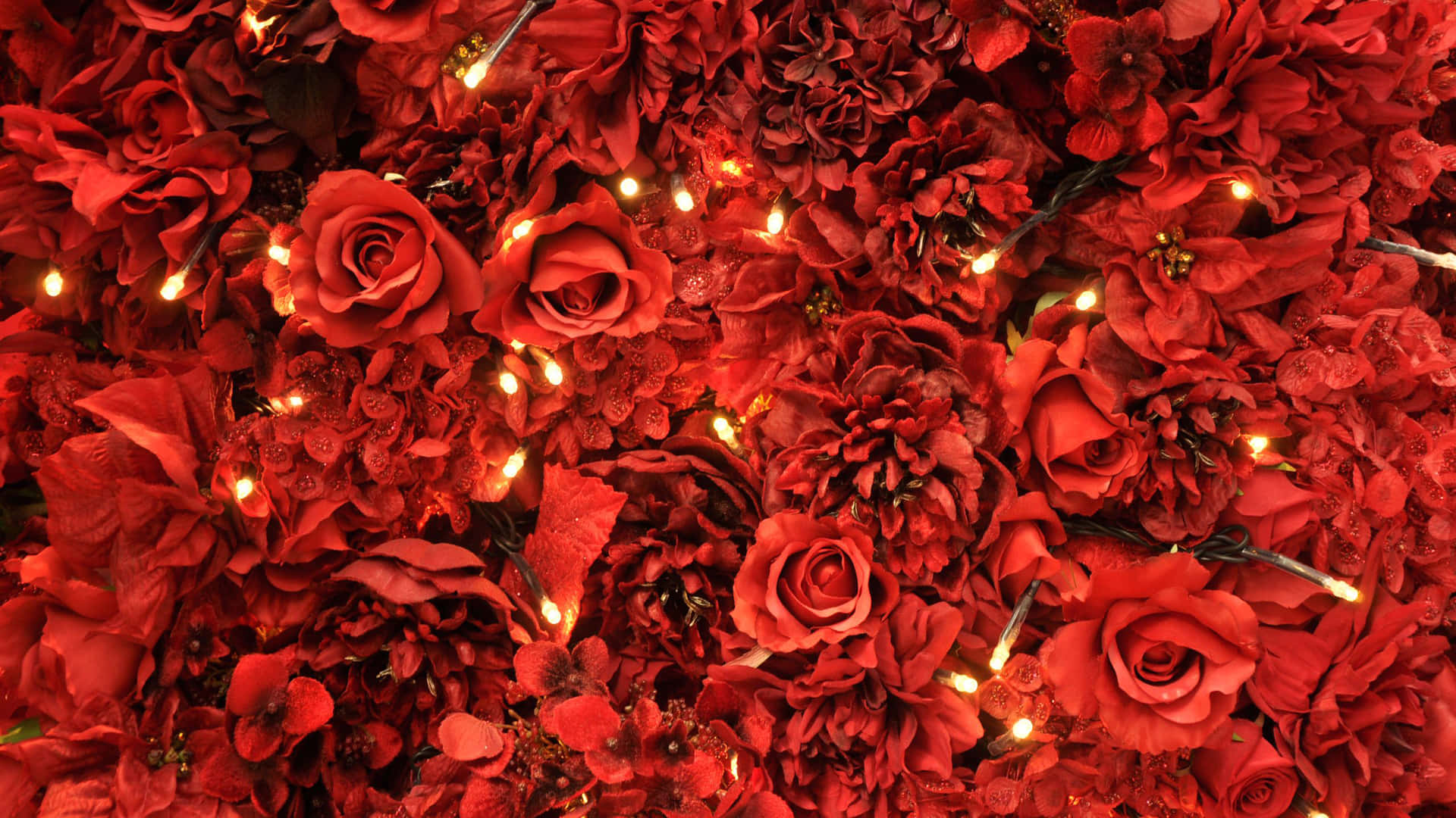 Red Roses Aesthetic Red Picture