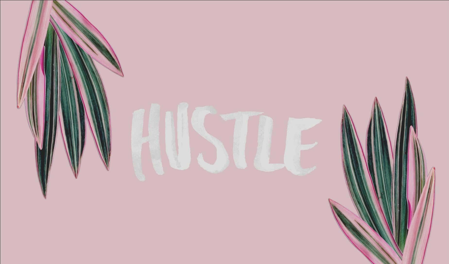 En pink baggrund med ordet hustle på det. Wallpaper