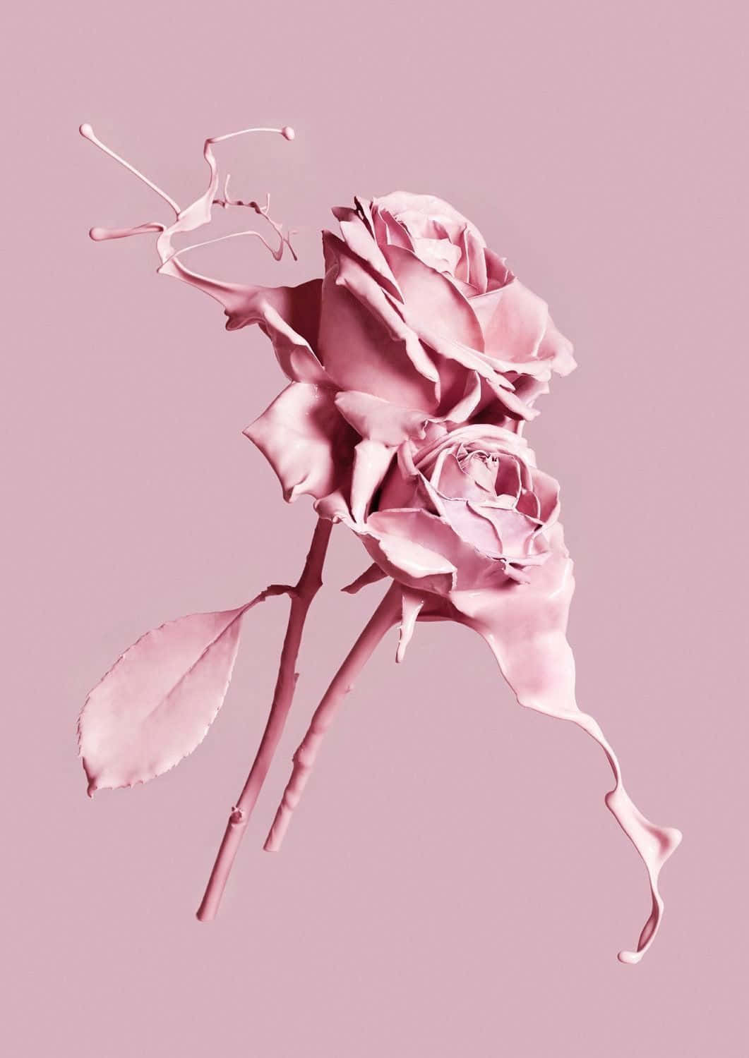 Elegant Aesthetic Rose Background