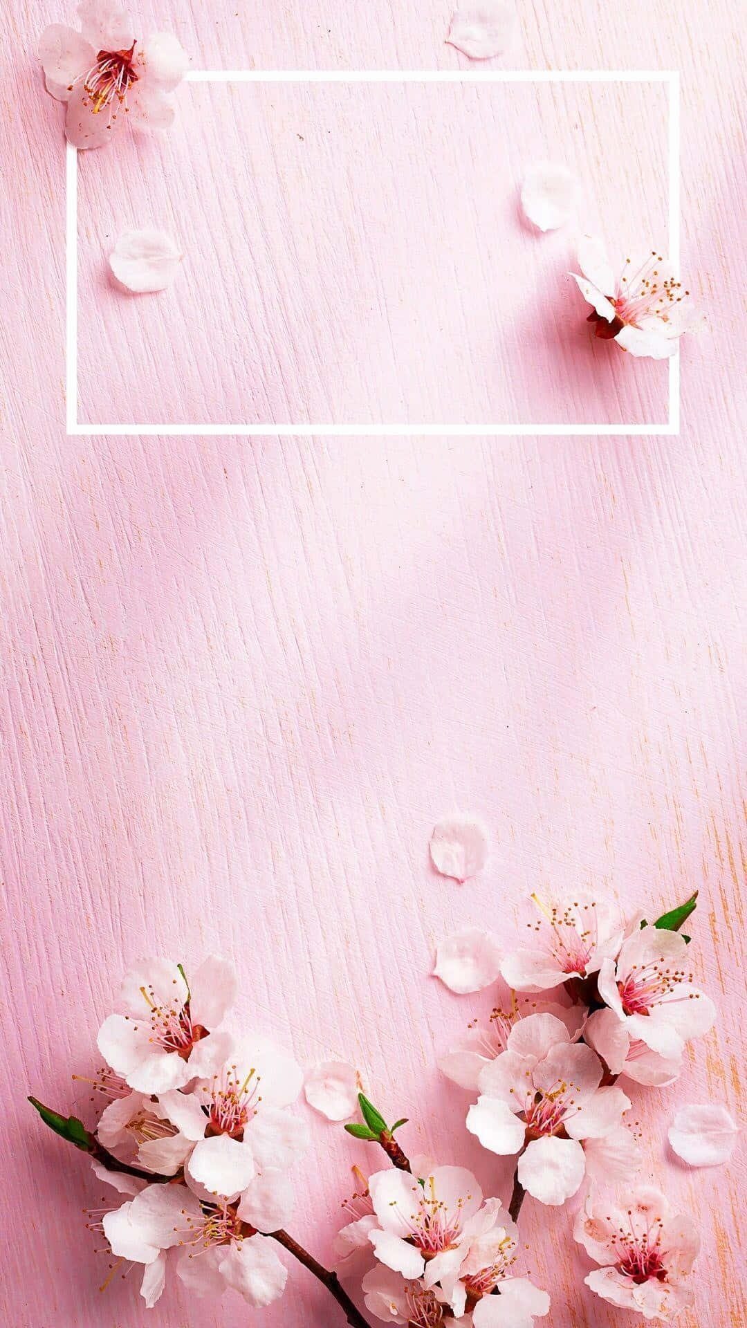 "Aesthetic Rose Blooms in Soft Pink Hues"