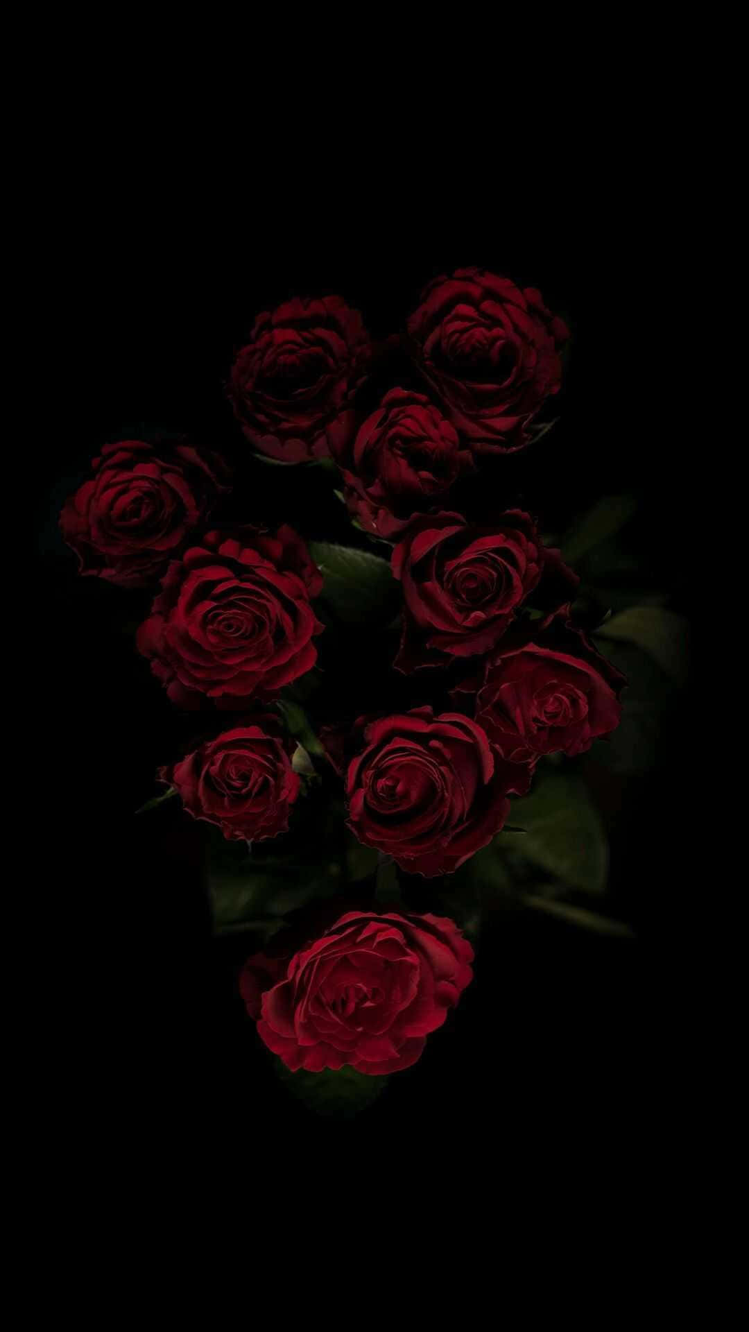 Download Aesthetic Rose 1080 X 1920 Background | Wallpapers.com