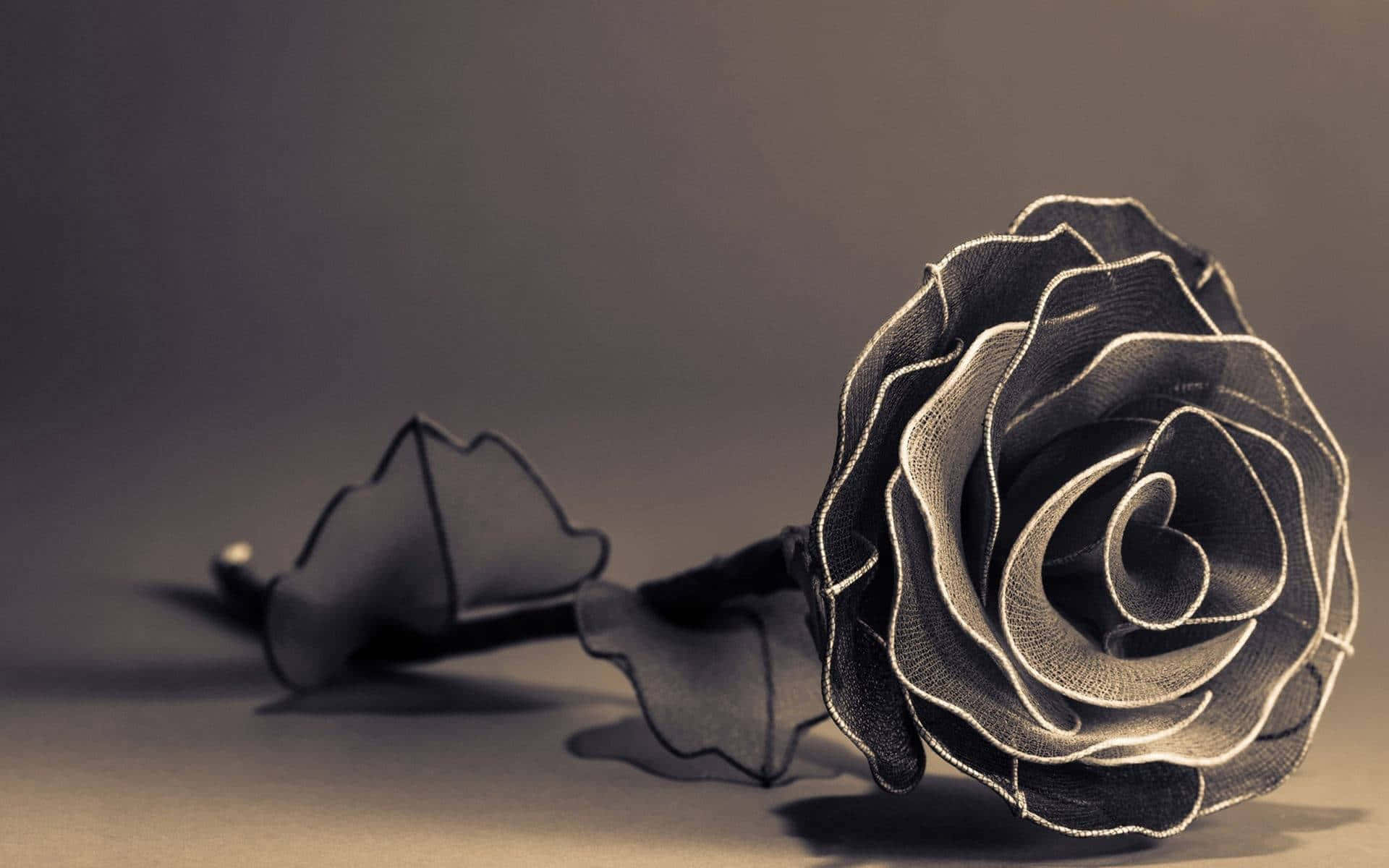 Aesthetic Rose in Full Bloom