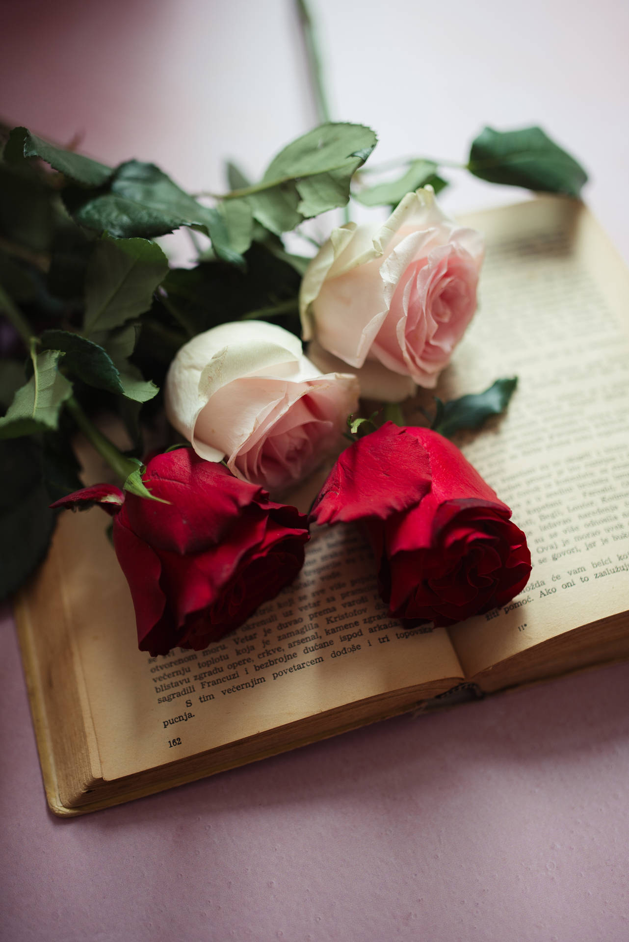 Aesthetic Rose Flowers On A Book Wallpaper