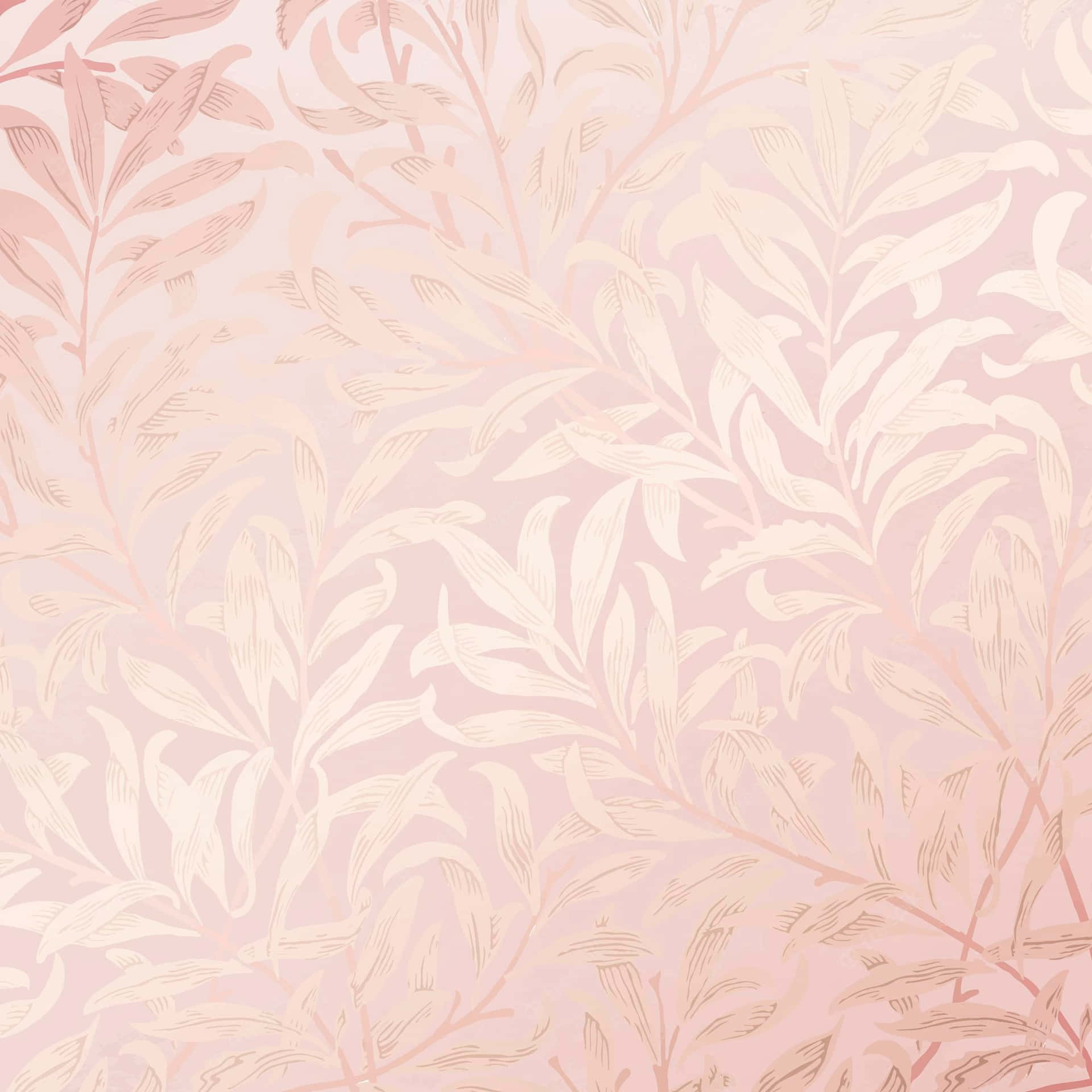 Aesthetic Rose Gold Background 2000 X 2000