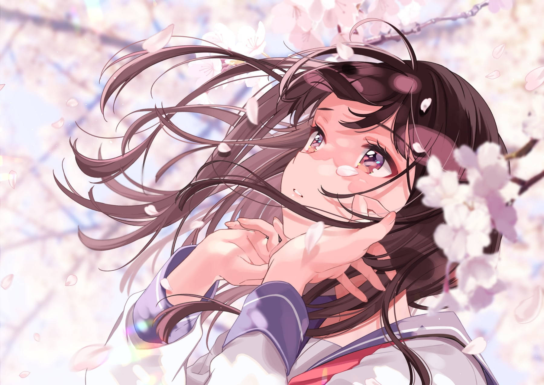 Aesthetic Sad Anime Girl Cherry Blossoms