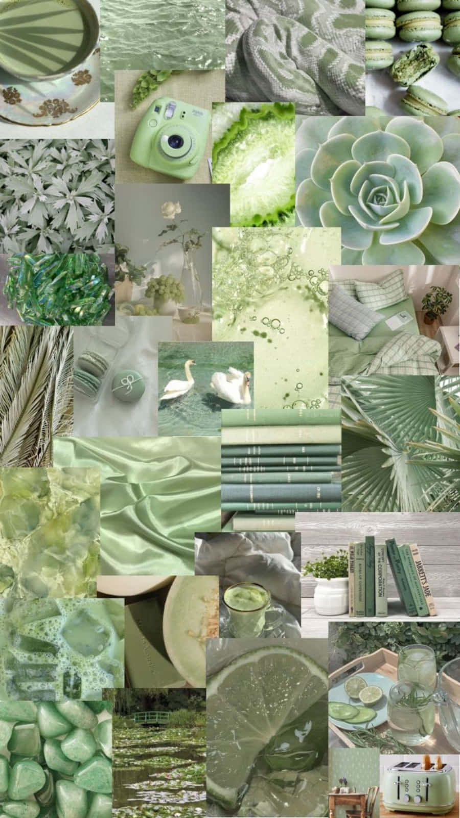 Download The Freshening Aesthetic of Sage Green | Wallpapers.com