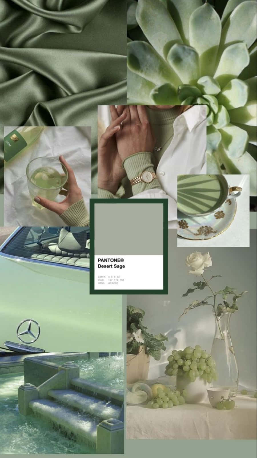 An aesthetic image of Sage Green