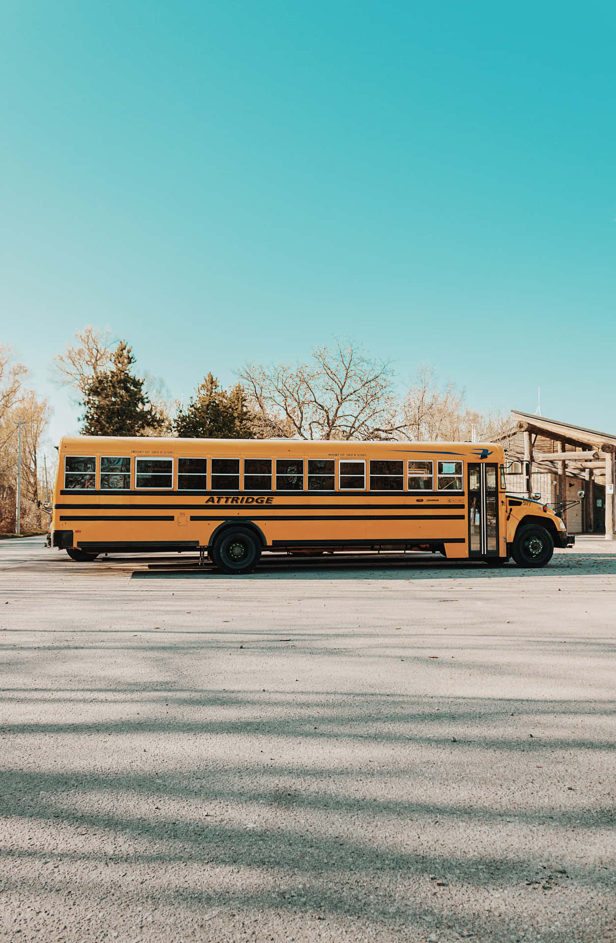 Aesthetic School Bus Long Shot Portrait Background