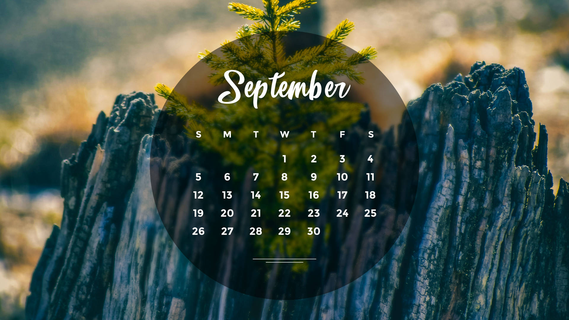Aesthetic September 2021 Calendar