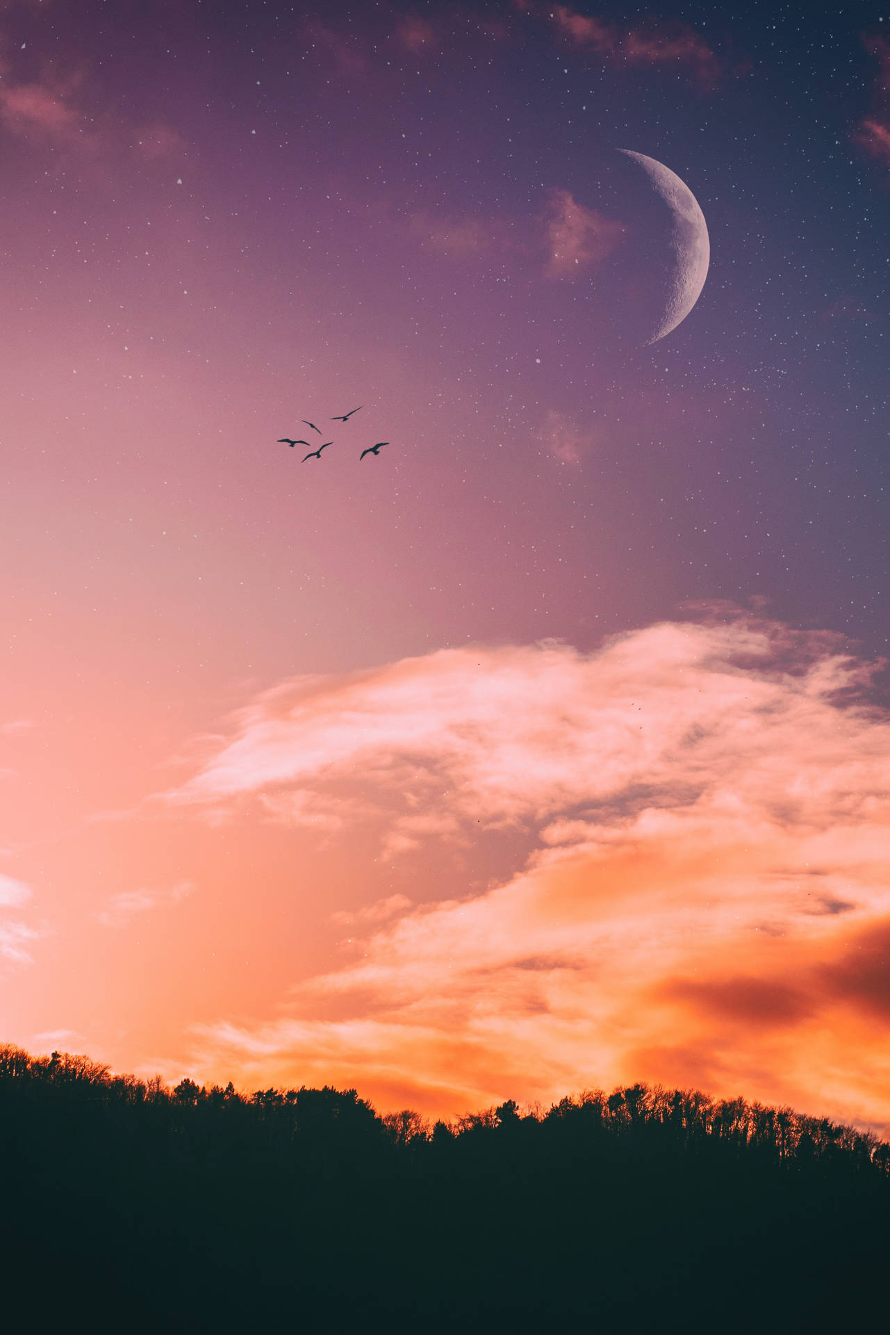 Aesthetic Sky And Crescent Moon With Birds Wallpaper