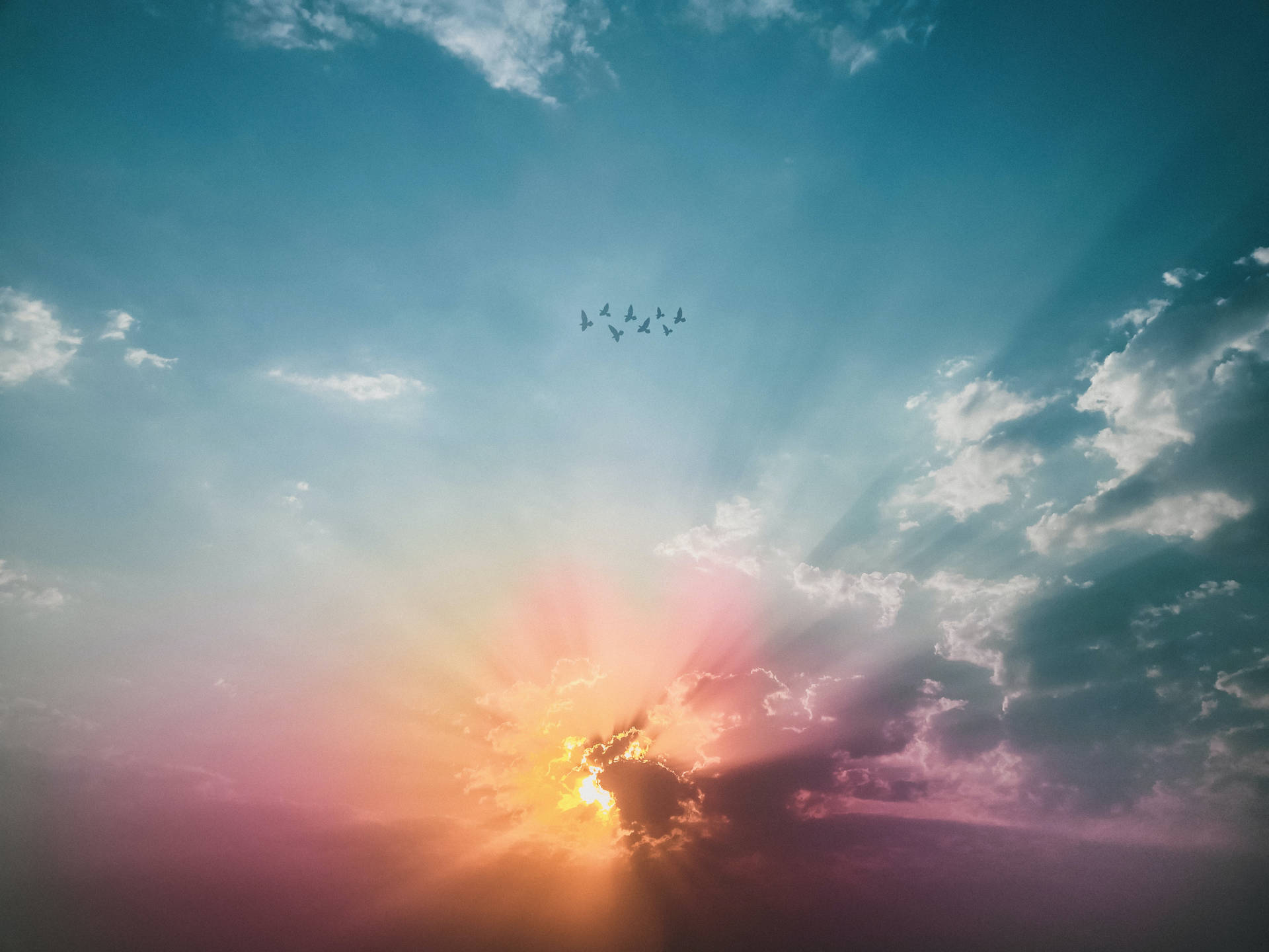 Aesthetic Sky Of Blue With Birds Wallpaper