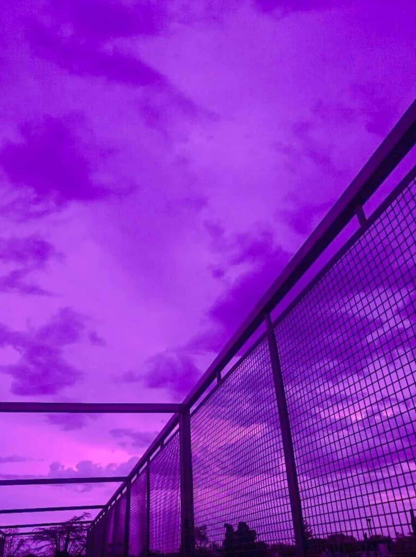 Aesthetic purple pics