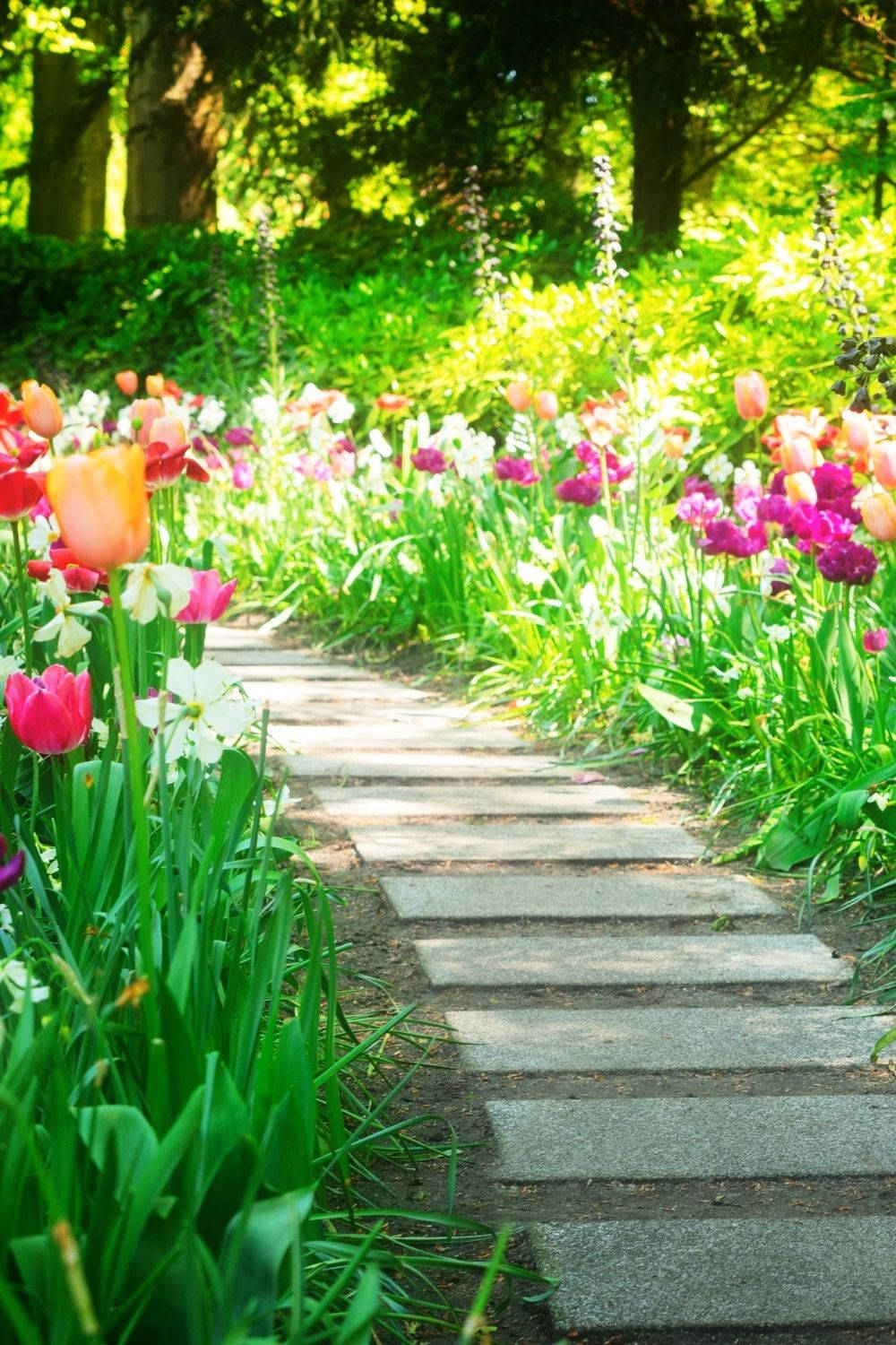 "Beautiful, Aesthetic Spring Garden" Wallpaper