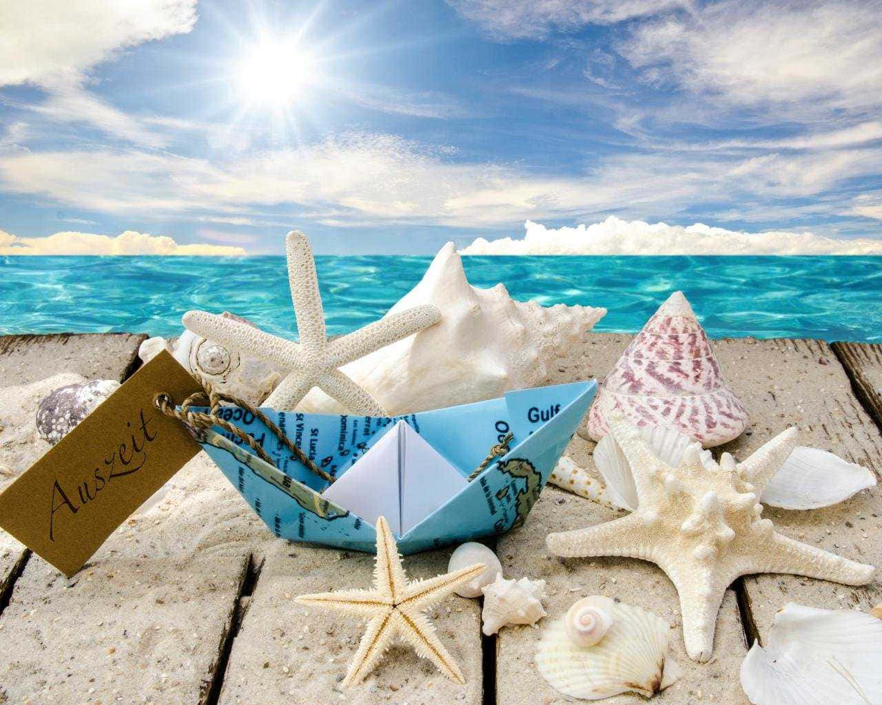 Aesthetic Summer Picture Shell Starfish Picture
