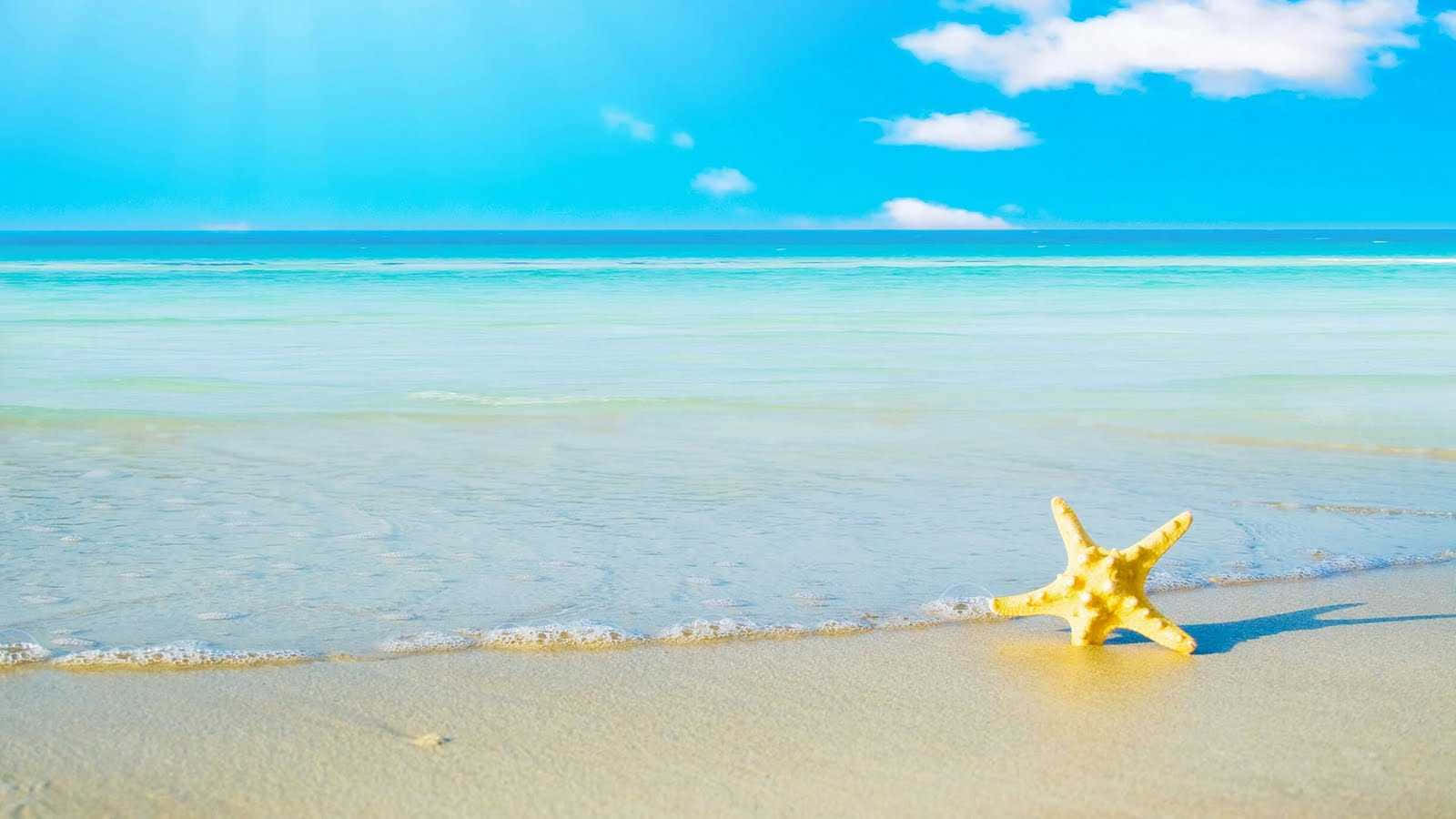 Imágenesestéticas De Estrellas De Mar En La Playa Durante El Verano.
