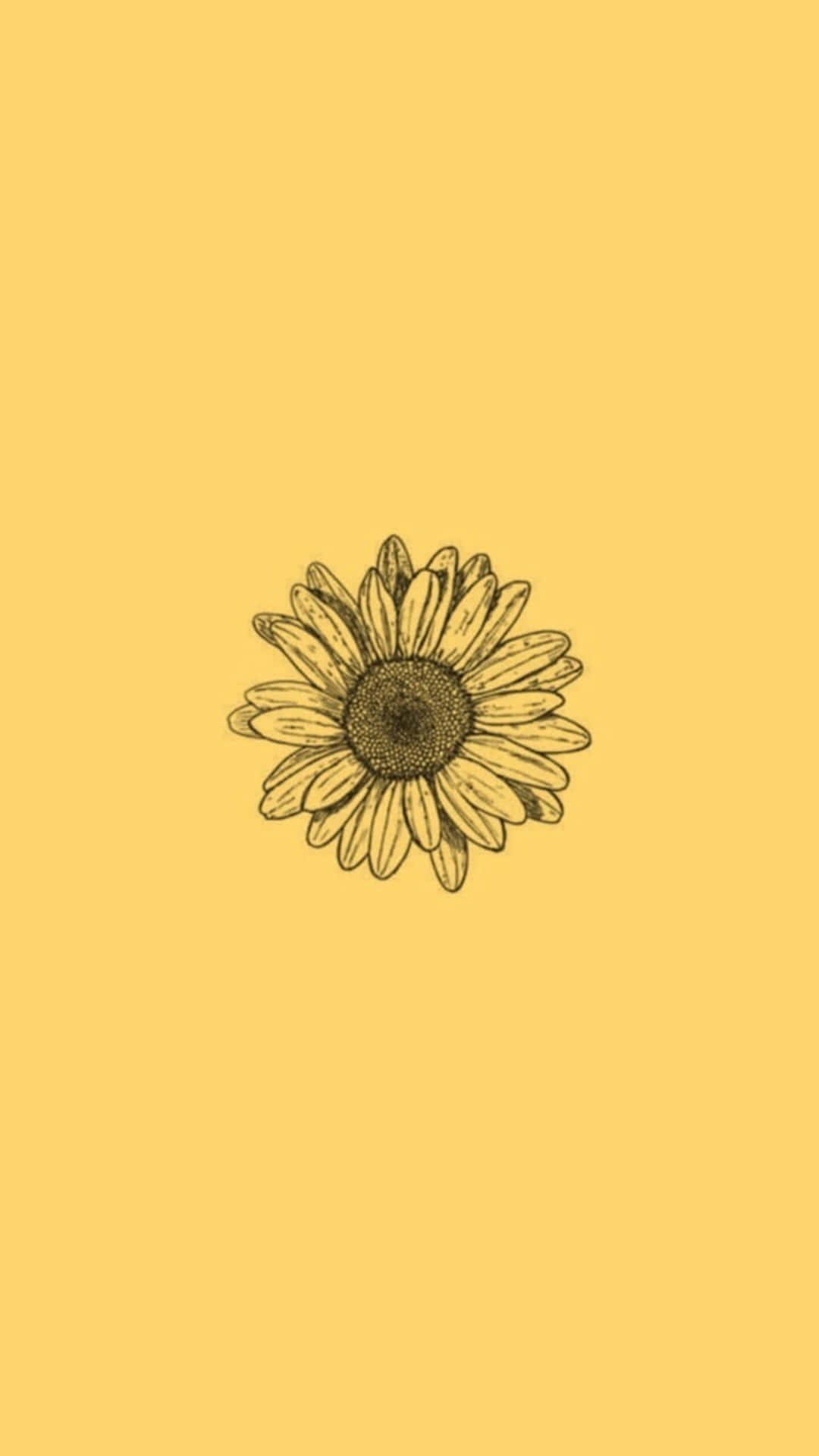 A Sunflower On A Yellow Background