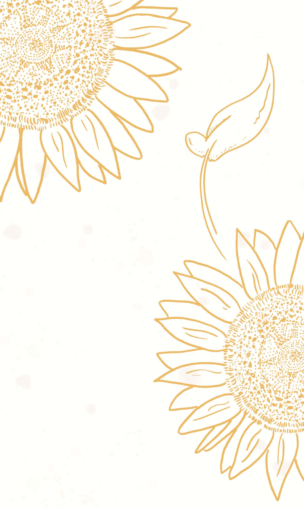 A beautiful sunflower in a stunning background of white and yellow tones