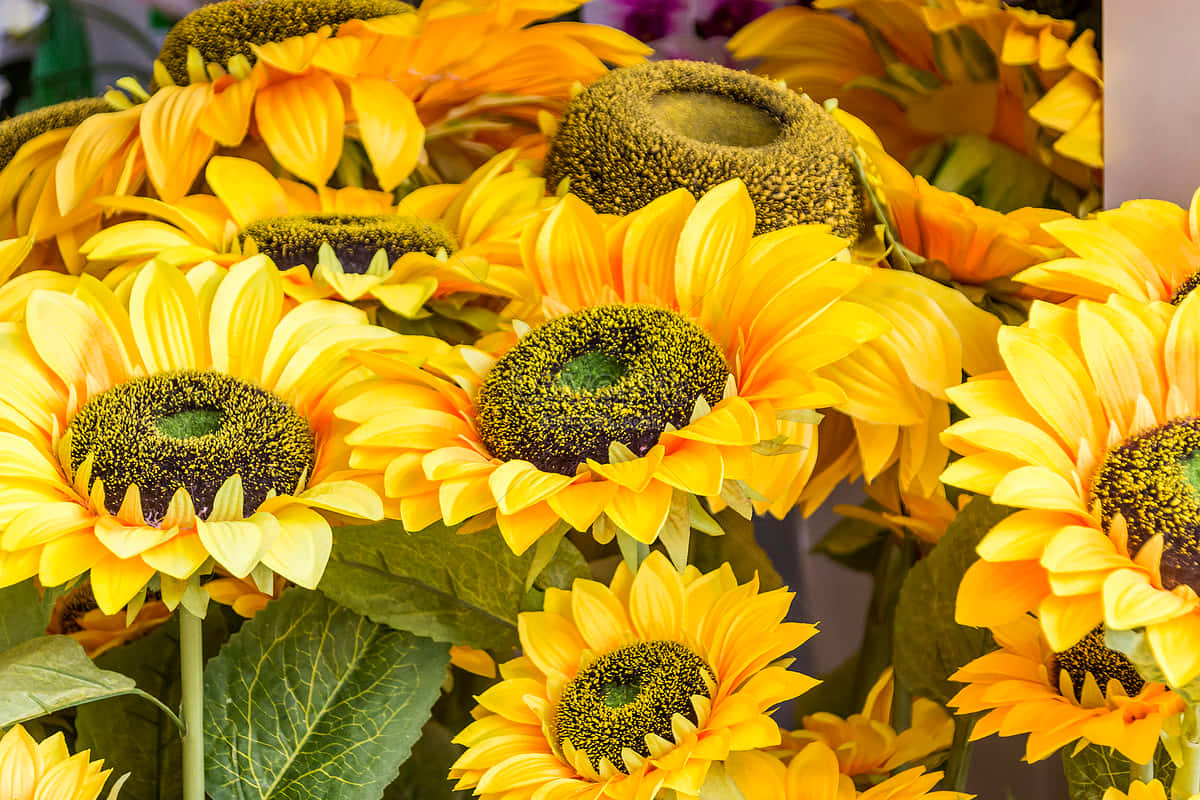 A Bunch Of Sunflowers In A Vase