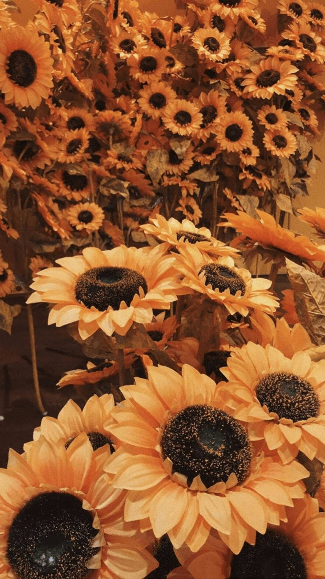 Aesthetic Sunflowers Orange Background Wallpaper