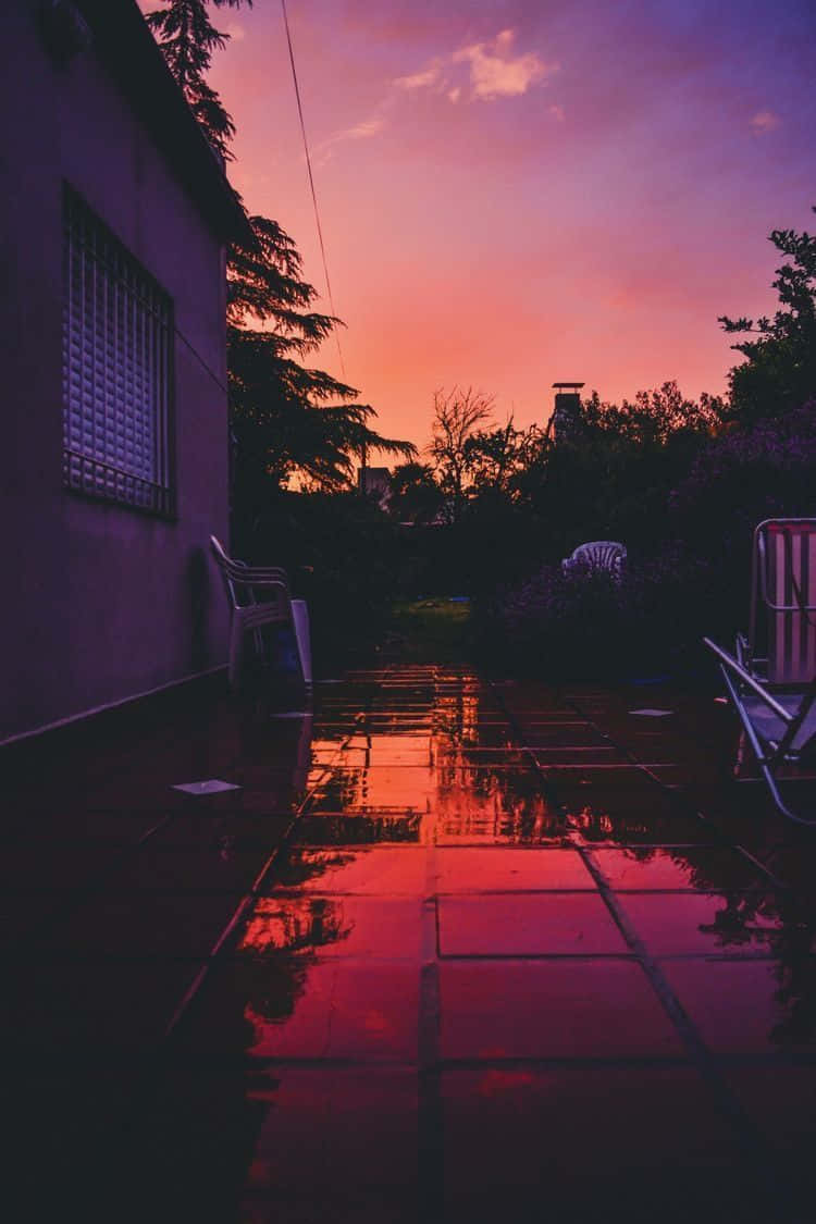 Nyd den forbløffende skønhed af et solnedgang gennem din iPhone tapet. Wallpaper