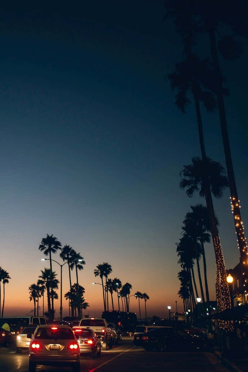 Aesthetic Sunset Iphone During Traffic With Tall Palm Trees Wallpaper