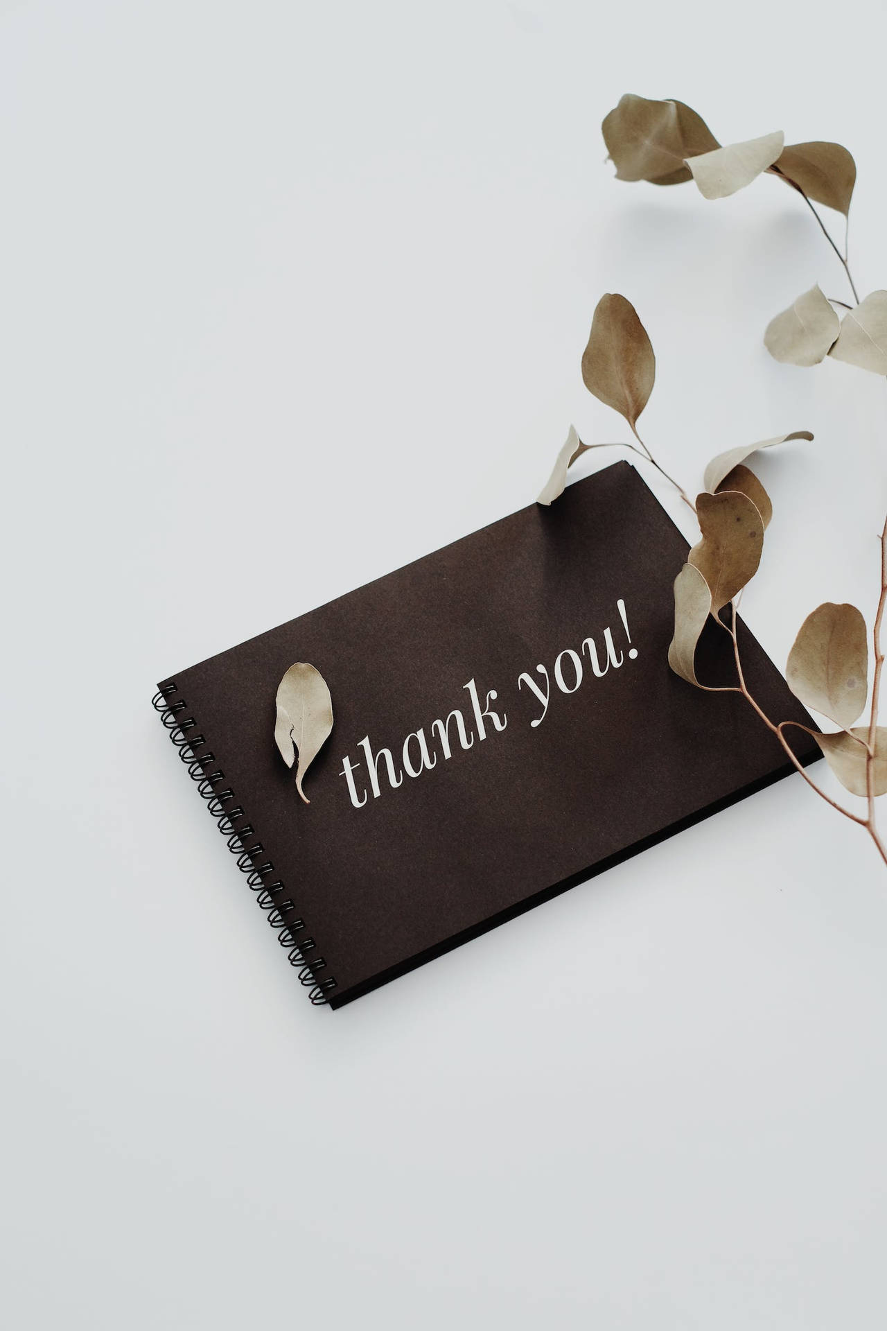 A Gratitude Gesture - An Aesthetic Thank You Notebook Wallpaper