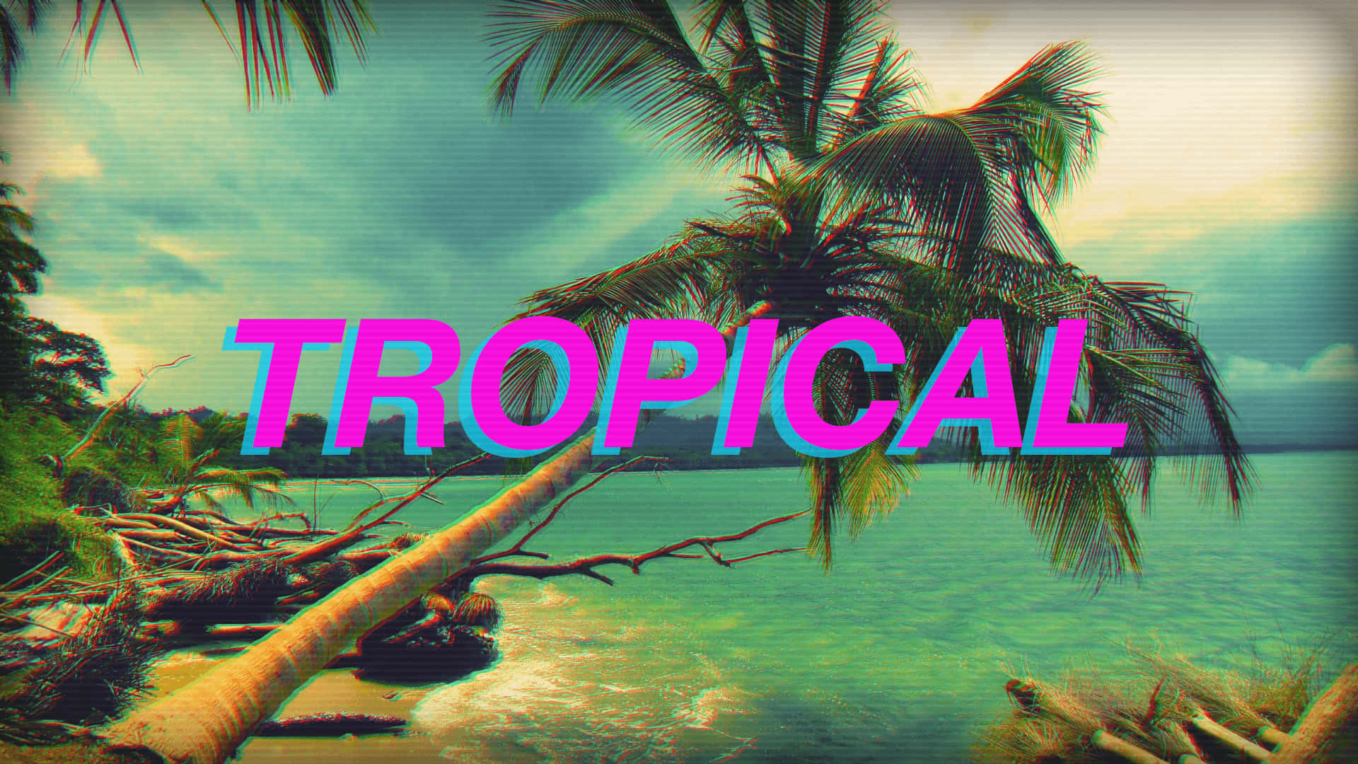 A Person Enjoying the Beauty of an Aesthetic Tropical Scene Wallpaper