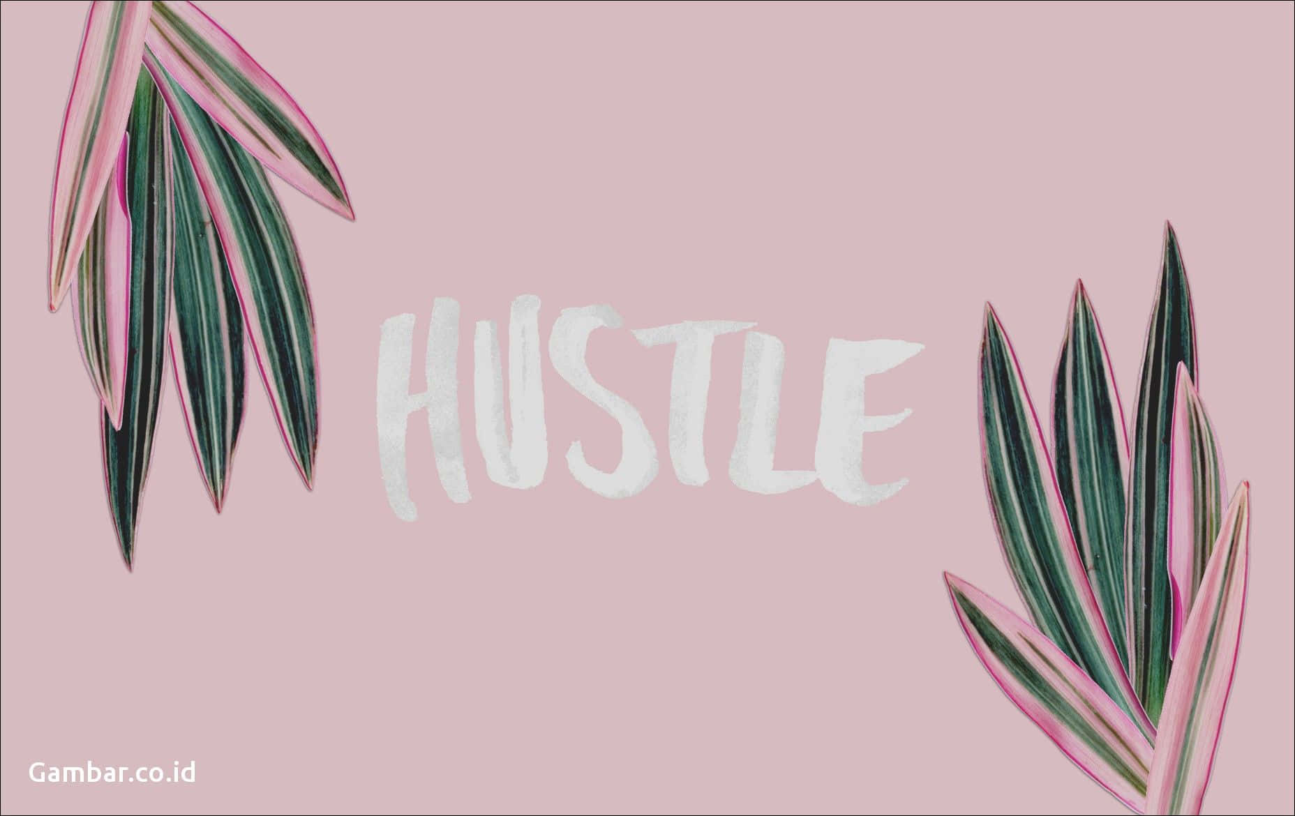 A Pink Background With The Word Hustle On It Wallpaper