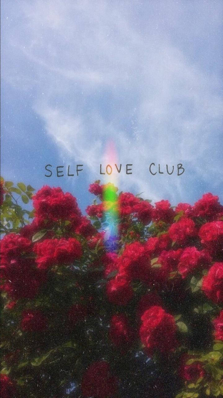 Aesthetic Tumblr Self Love Club Wallpaper