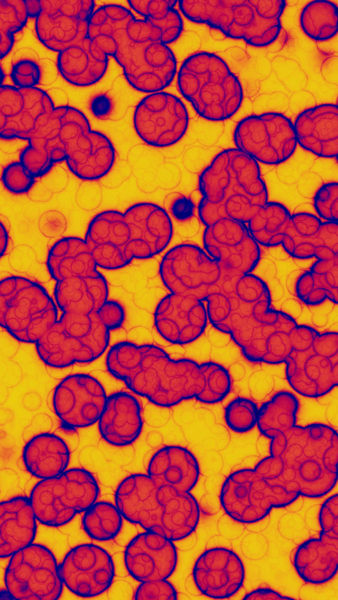 Red Blood Cells Aesthetic Vsco Pattern Background