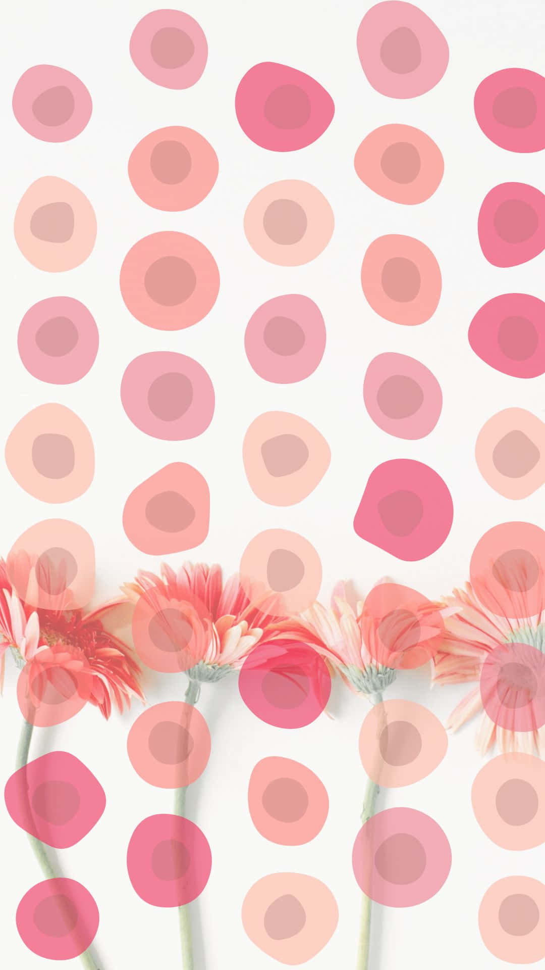 Pink Daisy Aesthetic VSCO Pattern Background