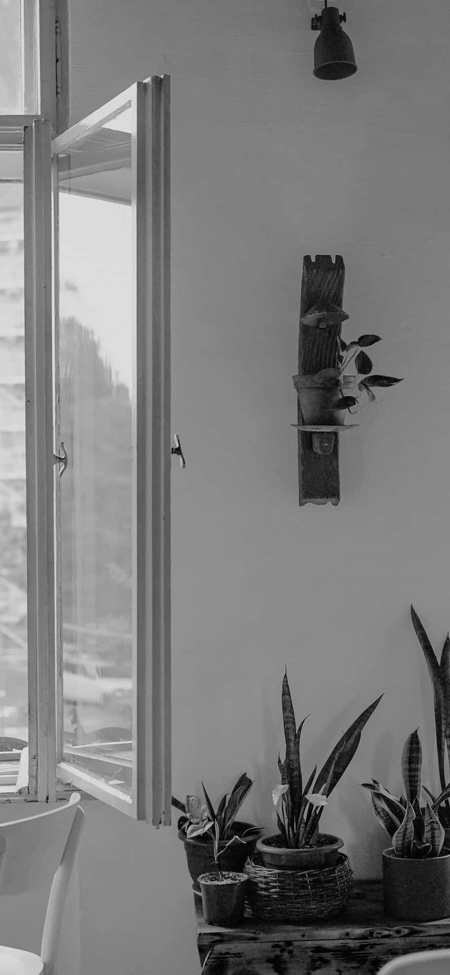 Ästhetischesweißes Und Schwarzes Iphone Gemütliches Zimmer Mit Pflanzen Wallpaper