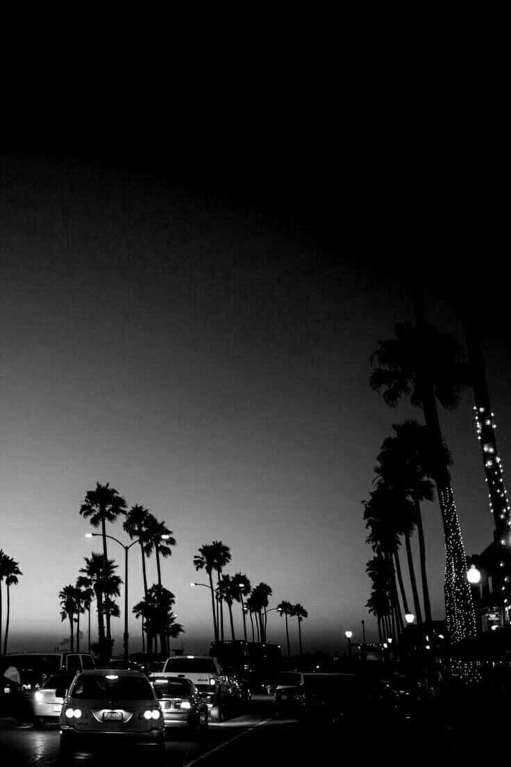 Aesthetic White And Black Iphone Palm Trees And Cars Wallpaper