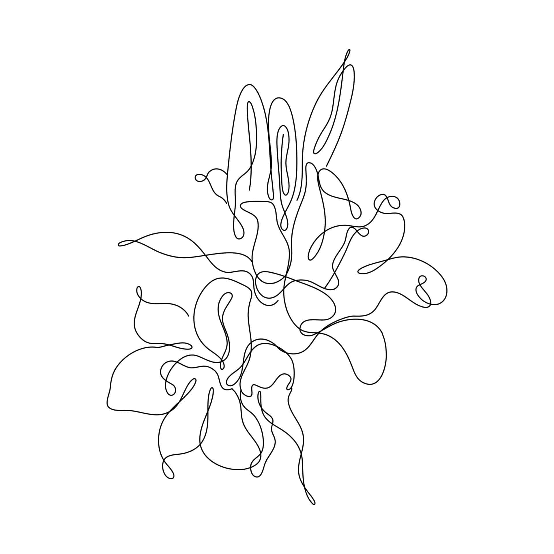 A Line Drawing Of A Flower