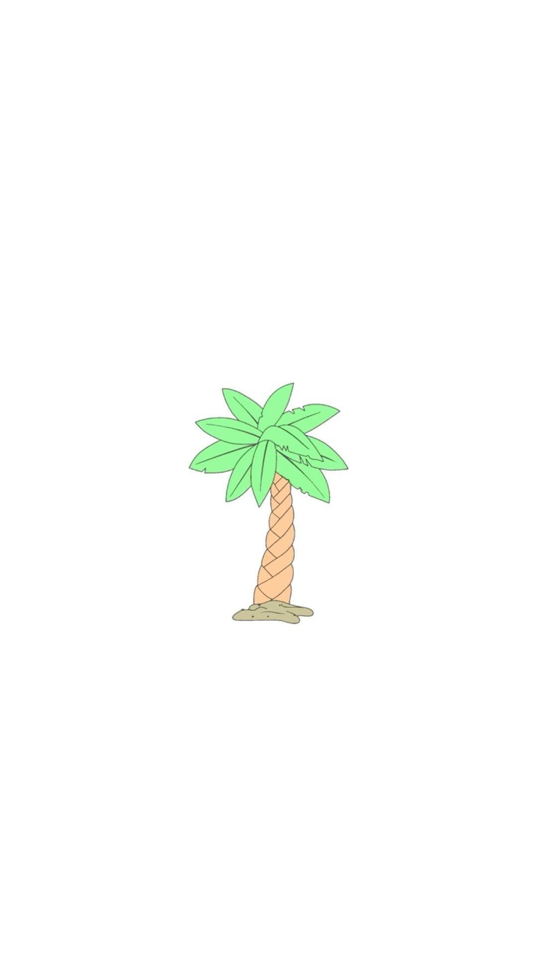 Aesthetic White Coconut Tree Picture