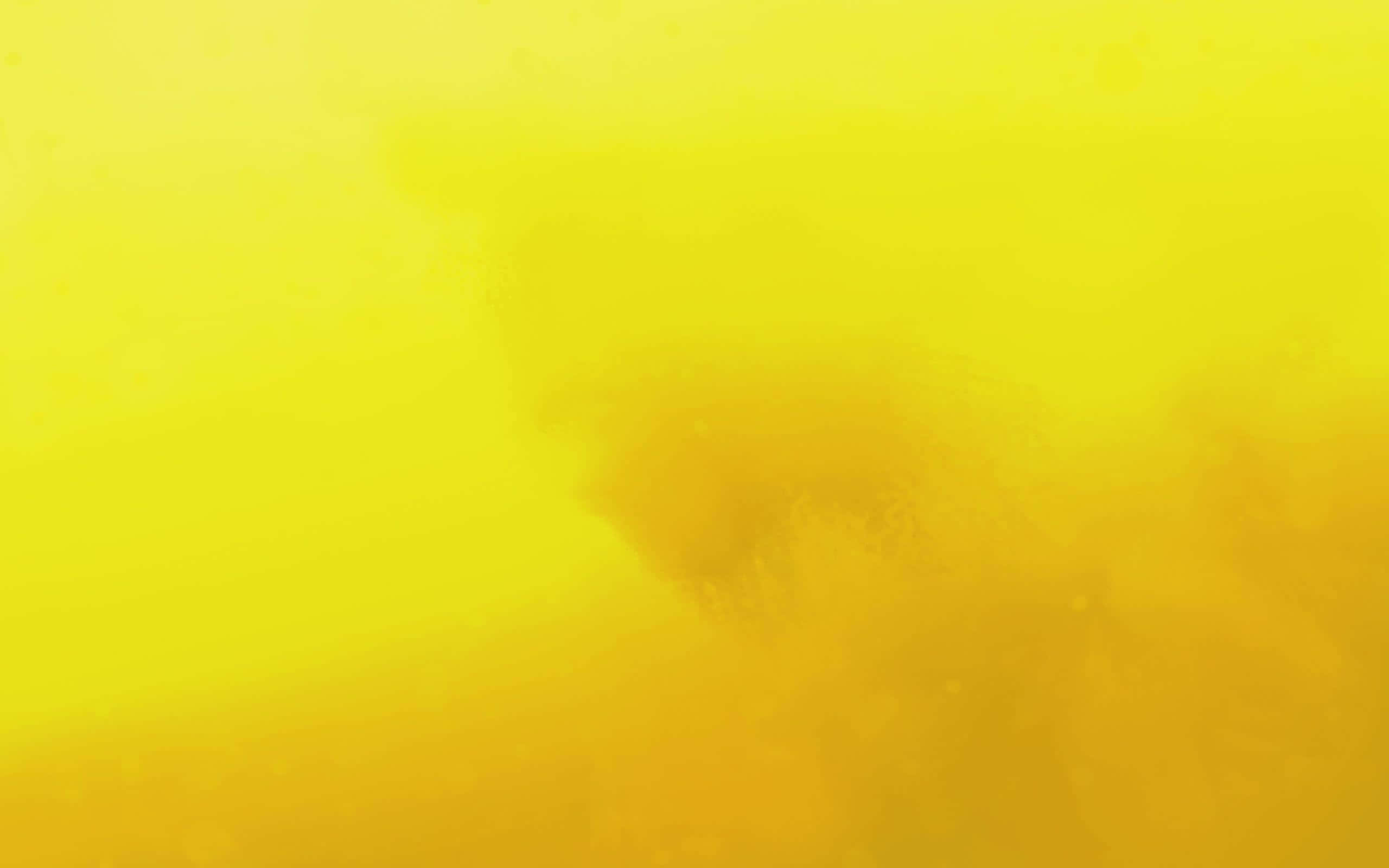 Embrace the Sunshine - Aesthetic Yellow Wallpaper