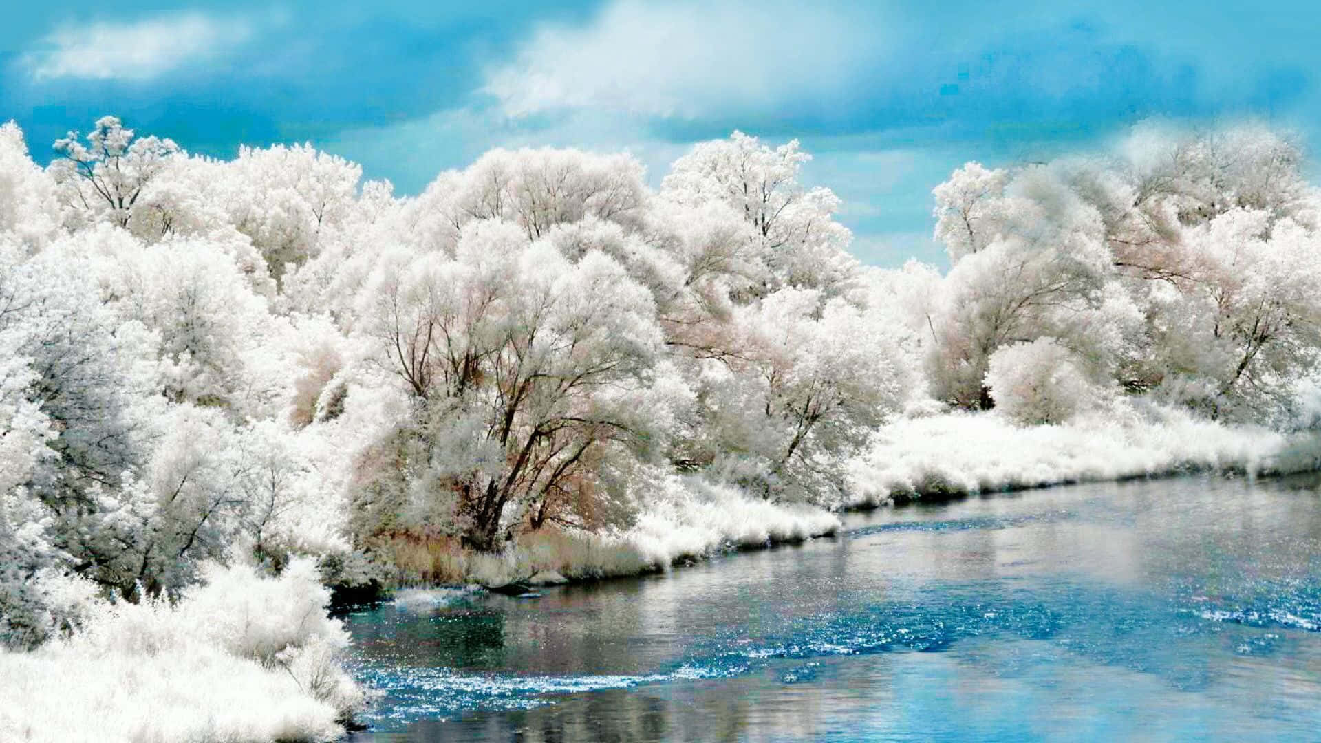 Affascinantesfondo Desktop Del Magico Paesaggio Invernale