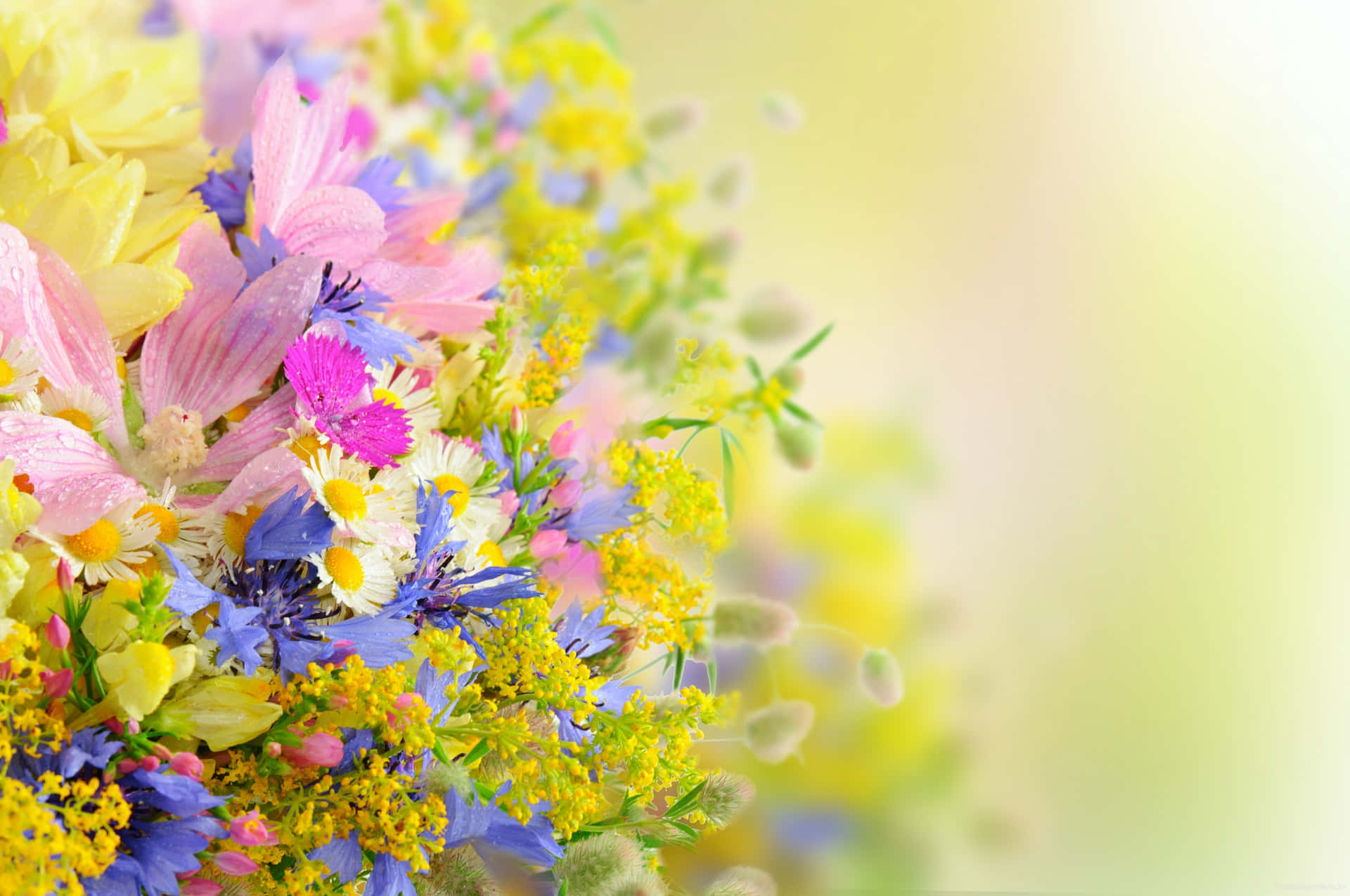 Affascinantesfondo Floreale Per Tumblr