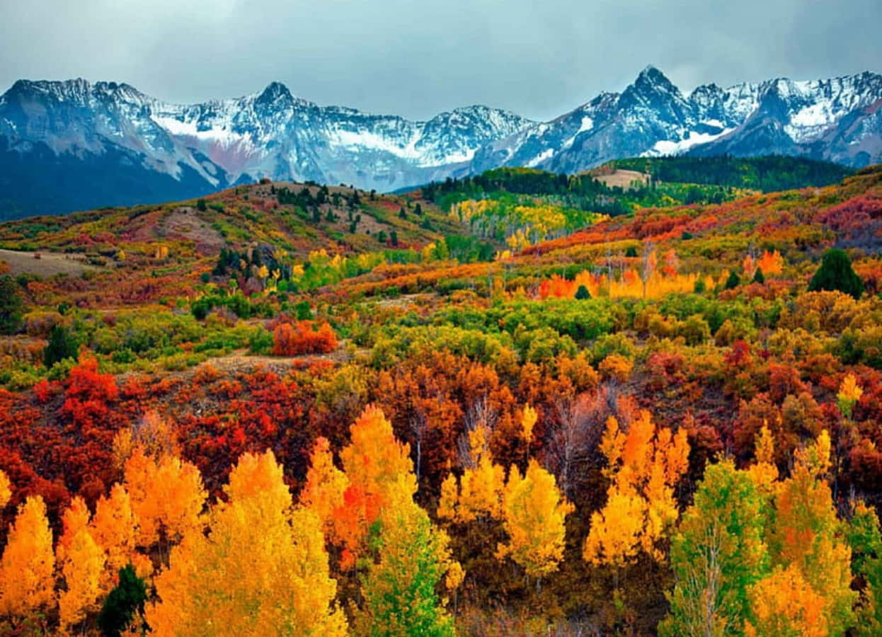 Affascinantetramonto Sulle Montagne Rocciose Del Colorado