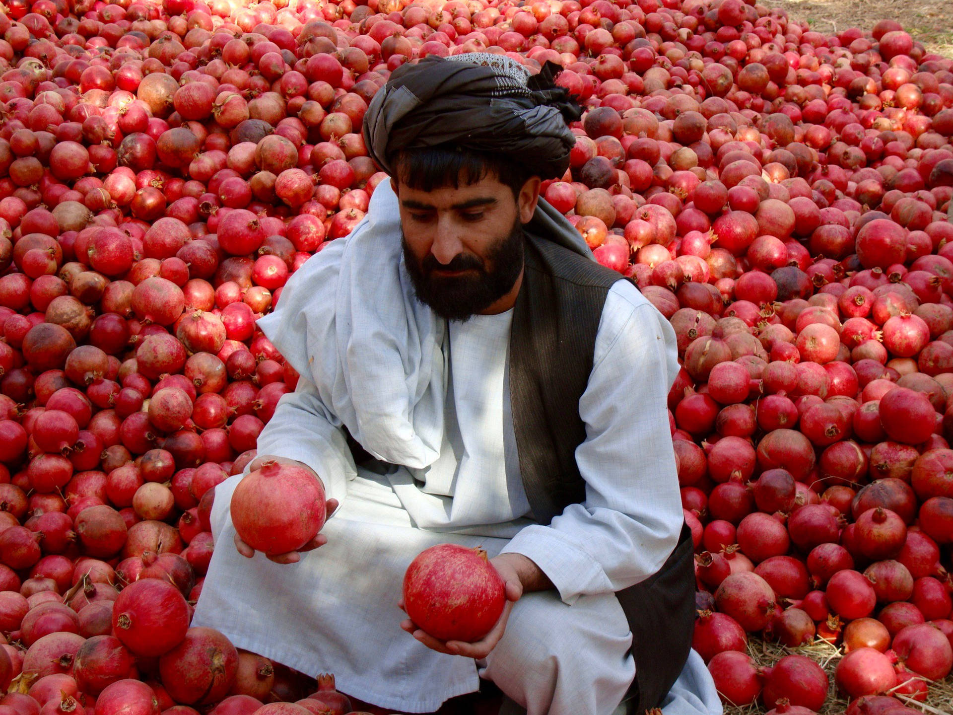 Afghanistan Man With Pomegranates
