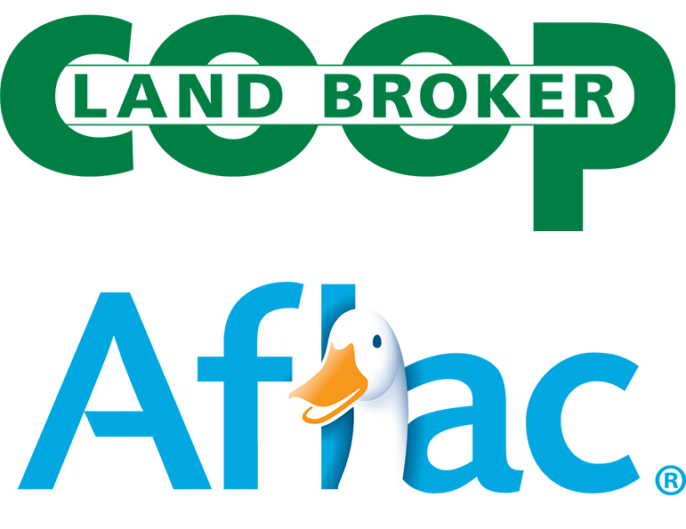 Download Aflac Insurance Logowith Duck | Wallpapers.com