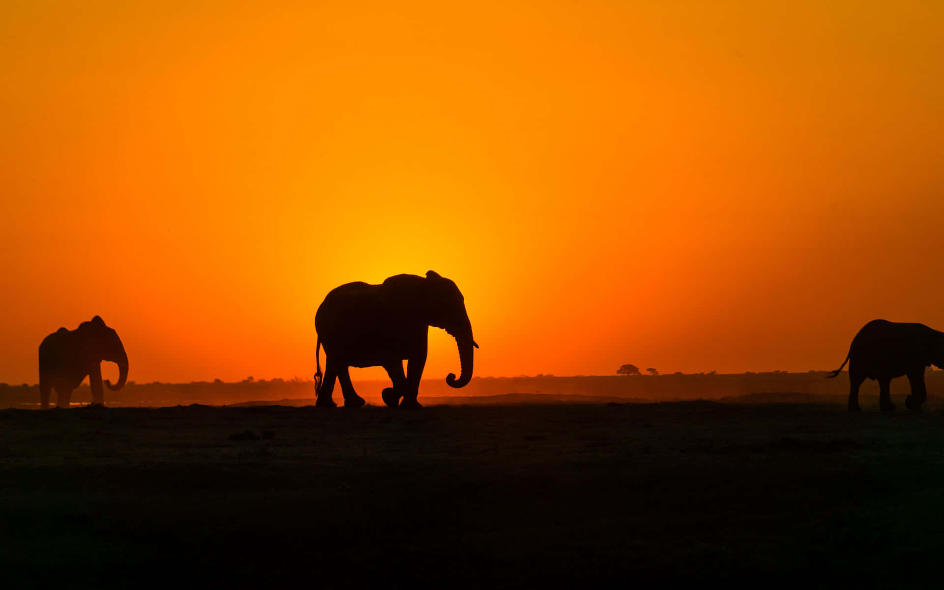 Explore the Magical Landscapes of Africa