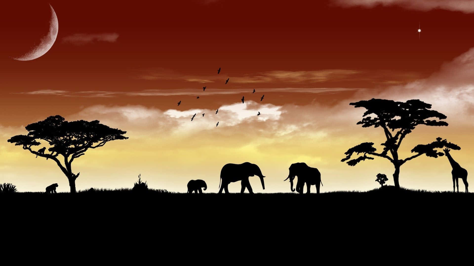 African Animals Background