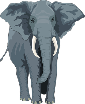 African Elephant Illustration PNG