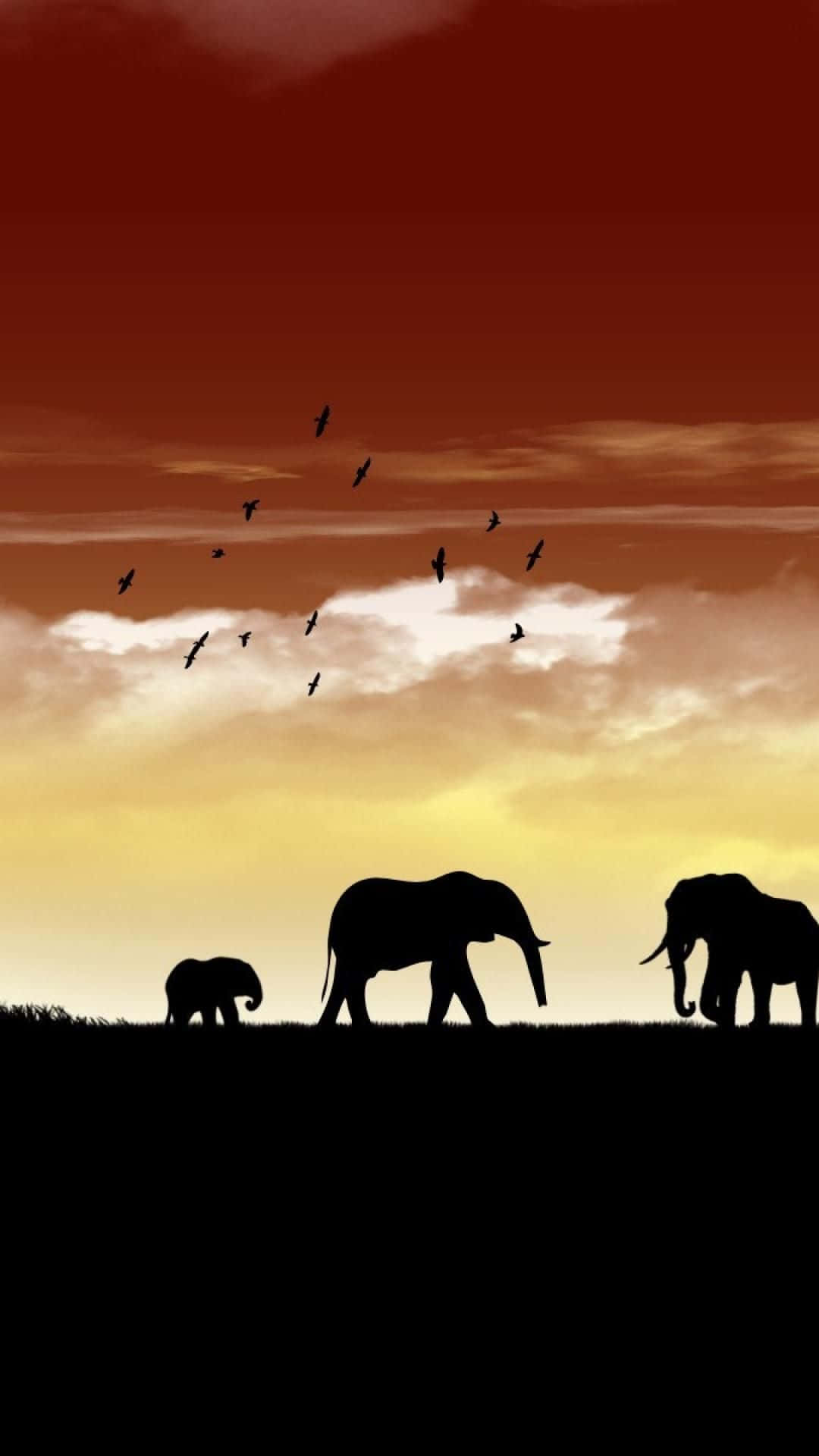 African Native Animals Landscape Iphone Wallpaper
