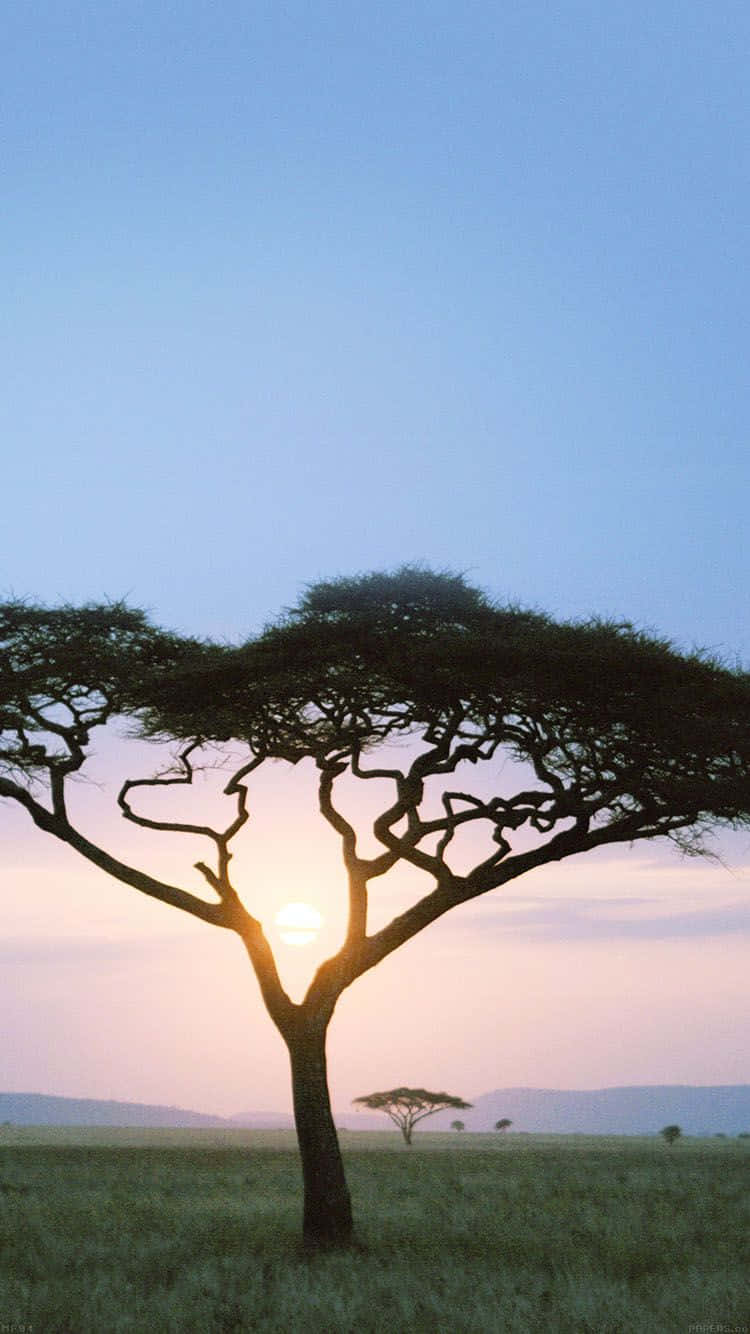 Paesaggioafricano - Panorama Mozzafiato Iphone. Sfondo