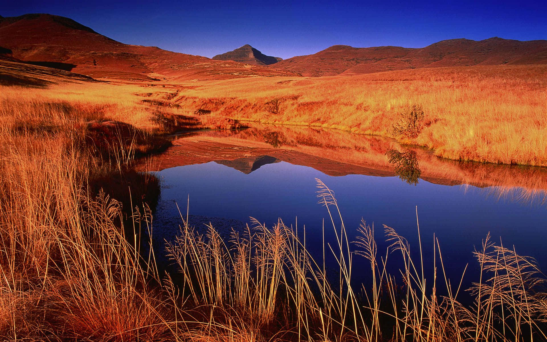Feel the majestic beauty of African Landscapes. Wallpaper