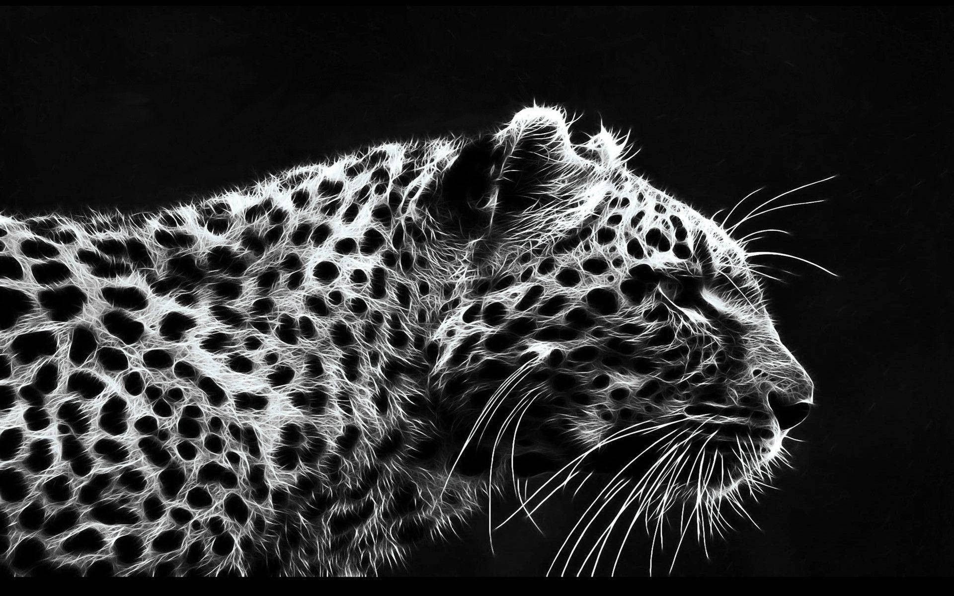 Afrikanskleopard Svart Högupplöst Skrivbordsbakgrund. Wallpaper