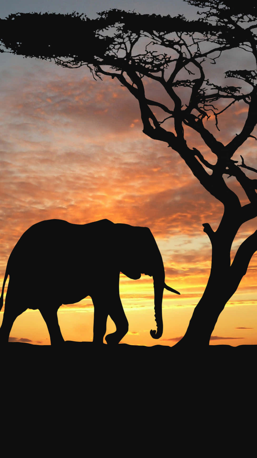 A Silhouette Of An Elephant Wallpaper